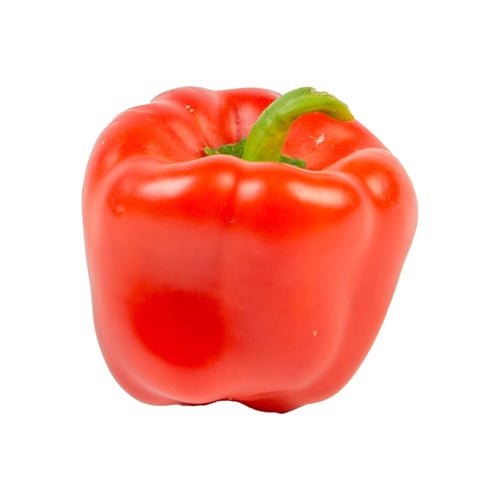 Poivron rouge 4 un