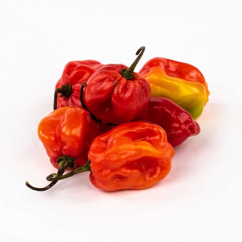 Piment fort habanero 8 lb
