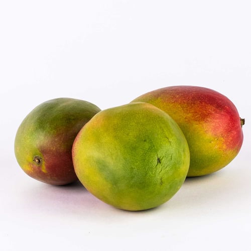 Mangue rouge