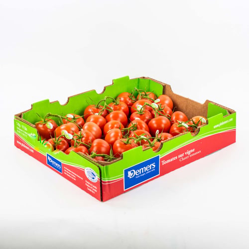 Tomates rouges sur vigne 5 kg