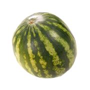 Mini melon d'eau sans pépins