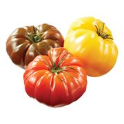 Tomate Heirloom