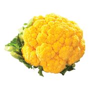 Chou-fleur orange