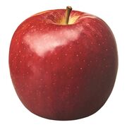 Pomme