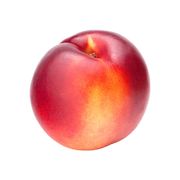 Nectarine