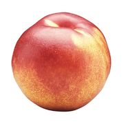 Grosse nectarine