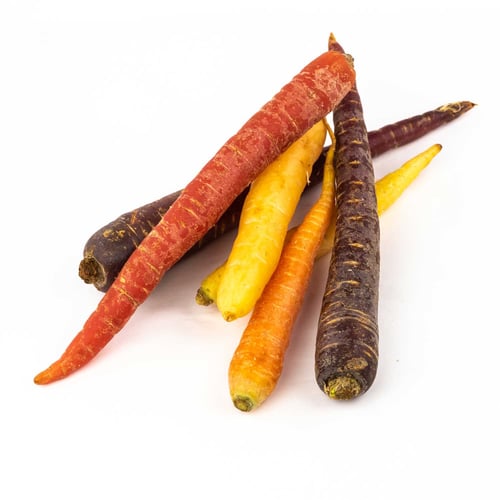 Carottes nantaises de couleurs