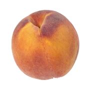 Pêche Prima Gattie