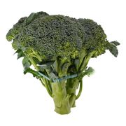 Brocoli
