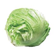Laitue iceberg