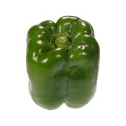 Poivron vert
