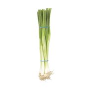 Oignons verts