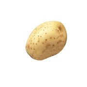 Pomme de terre blanche