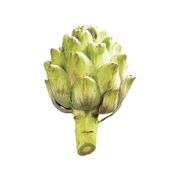 Artichaut