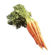 Carottes avec feuilles