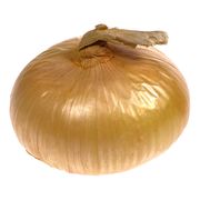 Oignon jaune