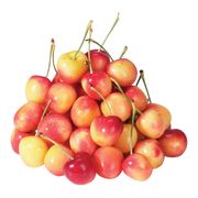 Cerises rainier