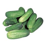 Cornichons frais
