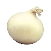 Oignon blanc