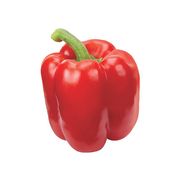 Poivron rouge de serre