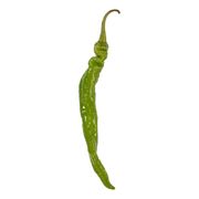 Piment thaï vert