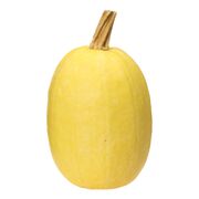 Courge spaghetti