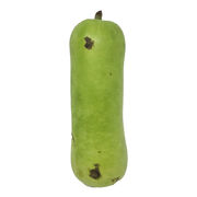 Courge longue