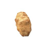 Topinambour