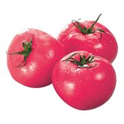 Tomate rose de serre