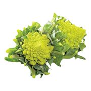 Chou-fleur romanesco