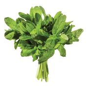 Menthe