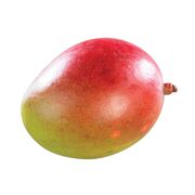 Mangue
