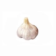 Ail du Québec biologique