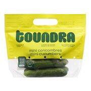 Sac de mini concombres