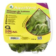 Mélange de laitues