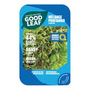Mélange de salade printanier croquant