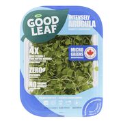 Pousses de roquette
