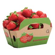 Fraises biologiques