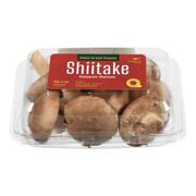 Champignons shiitake