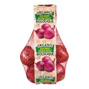 Oignons rouges biologiques