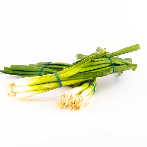 Oignons verts x3