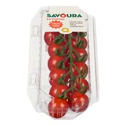 Tomates cerises