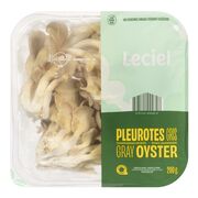 Champignons pleurotes gris