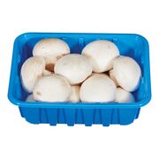 Champignons blancs biologiques