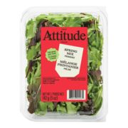 Mélange de salade printanier