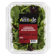 Mélange de salade San Marino