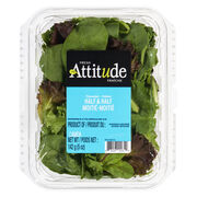 Mélange de salade printanier et d'épinards