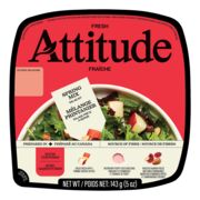 Mélange de salade printanier avec garnitures