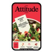 Mélange de salade printanier avec garnitures