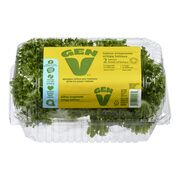 Laitue frisée verte